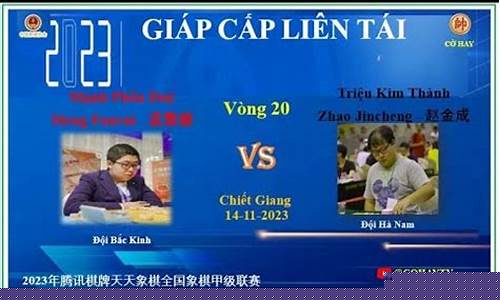 赵金成vs赵国荣-赵国荣精彩对局