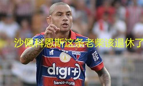 查比高恩斯足球赛程-比斯查足球俱乐部